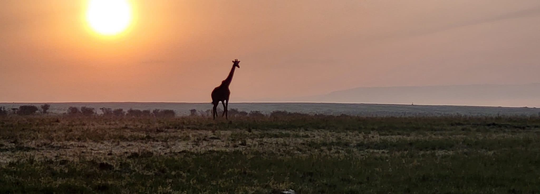 20220204 070541 2048x737