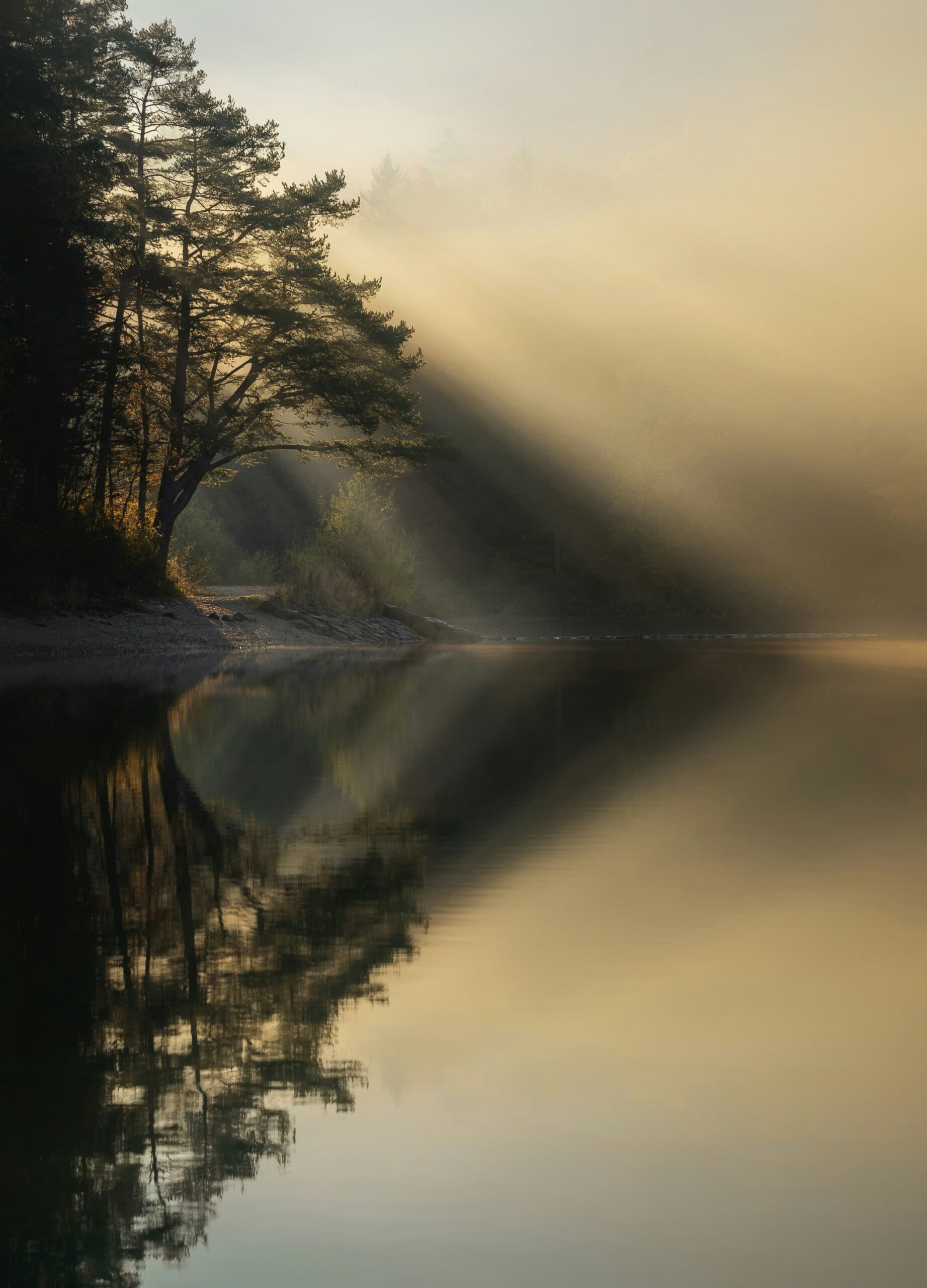 Ales krivec g0cmqf cs60 unsplash (1)