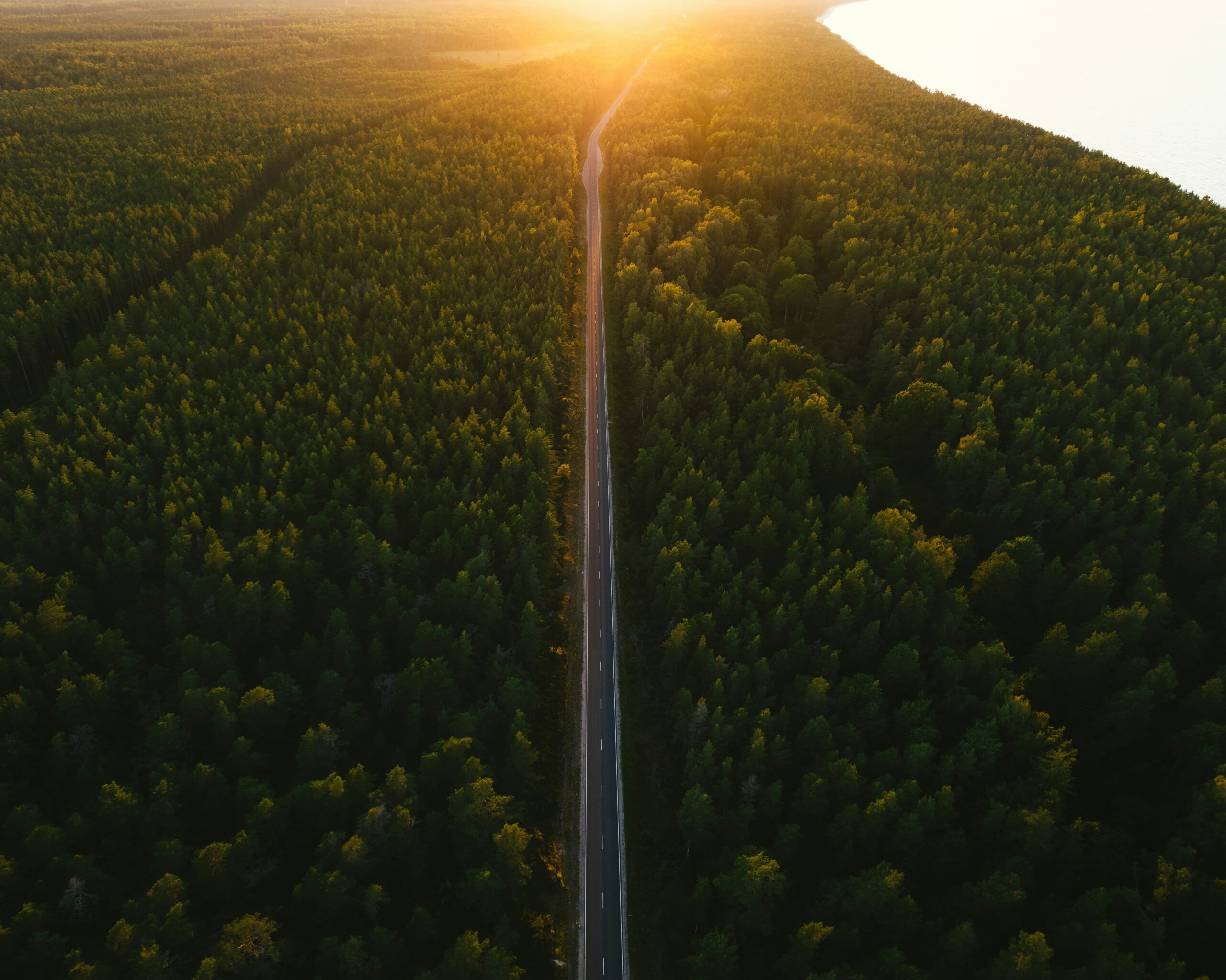 Unsplash community cf3liscwc q unsplash (1)