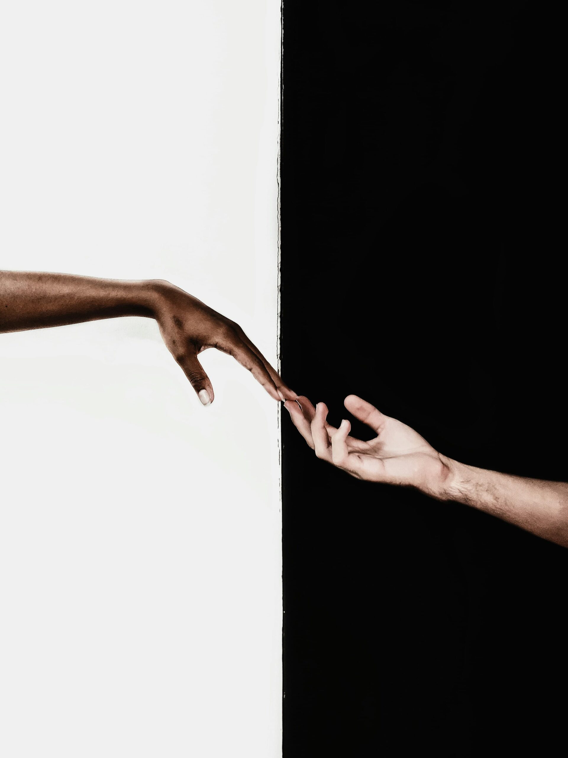 Matheus viana 0xpwy5euzkk unsplash (1)