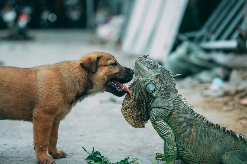 Suong nguyen yjpcofxyq unsplash (1)